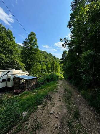 35 Acres of Recreational & Residential Land for Sale in Raccoon, Kentucky