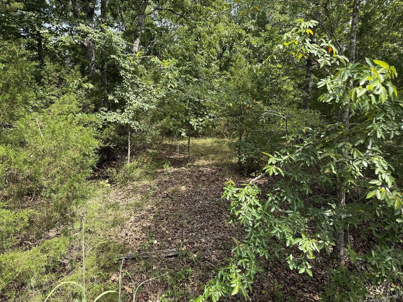 1.14 Acres of Residential Land for Sale in Branson West, Missouri