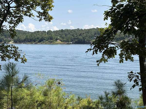 41 Acres of Recreational & Residential Land for Sale in Double Springs, Alabama