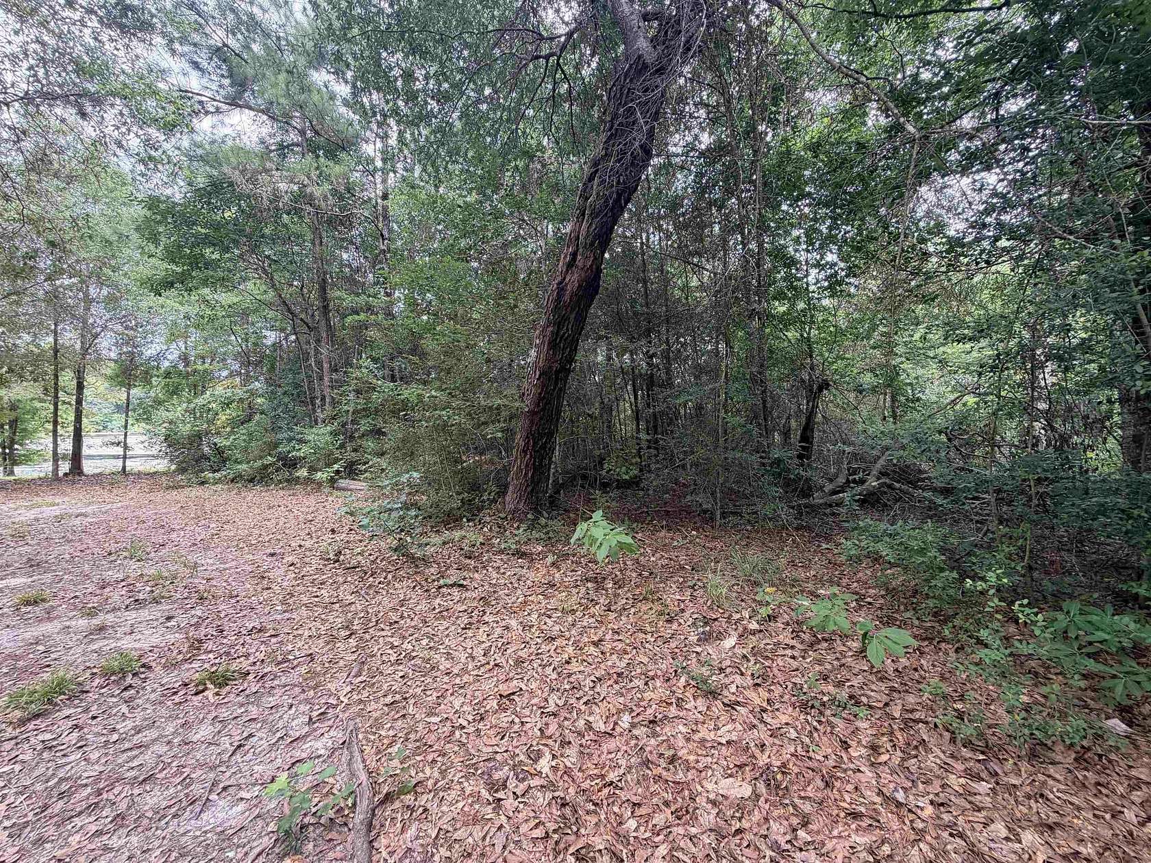 0.34 Acres of Residential Land for Sale in Woodville, Texas