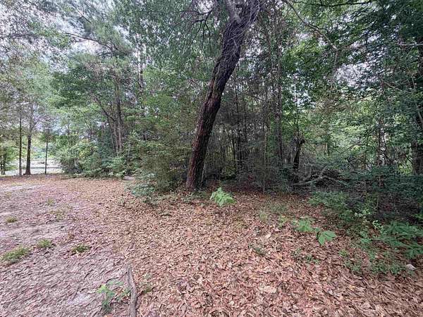 0.34 Acres of Residential Land for Sale in Woodville, Texas