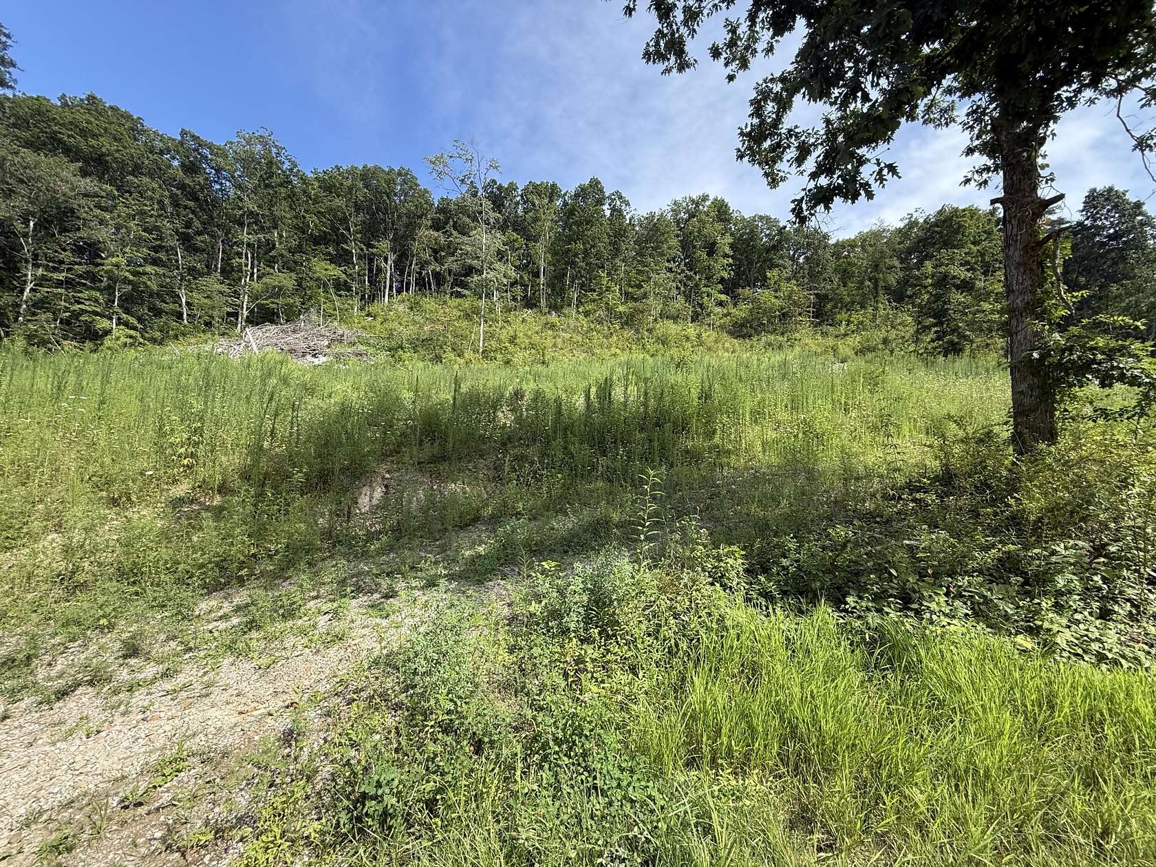 4.56 Acres of Land for Sale in Berea, Kentucky