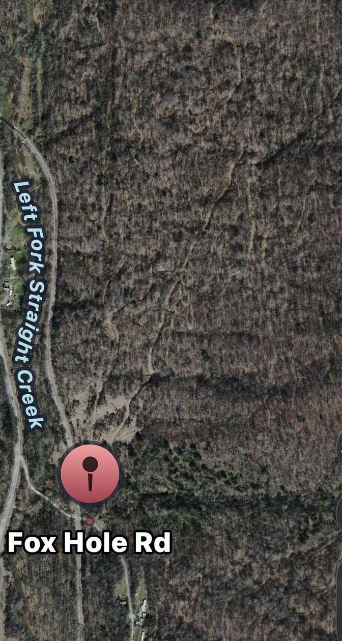 48.3 Acres of Recreational & Residential Land for Sale in Pineville, Kentucky