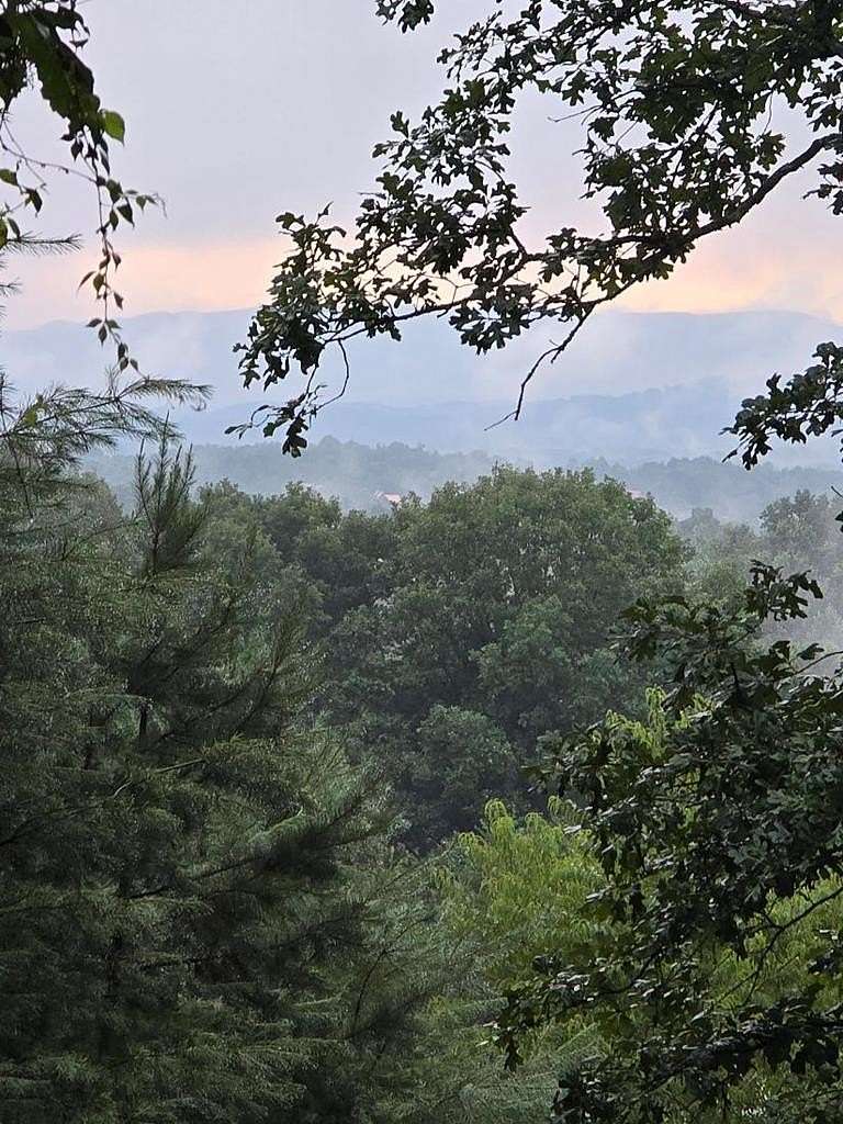 0.91 Acres of Residential Land for Sale in Blairsville, Georgia