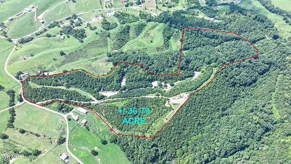 36.8 Acres of Recreational & Residential Land for Sale in Greeneville, Tennessee