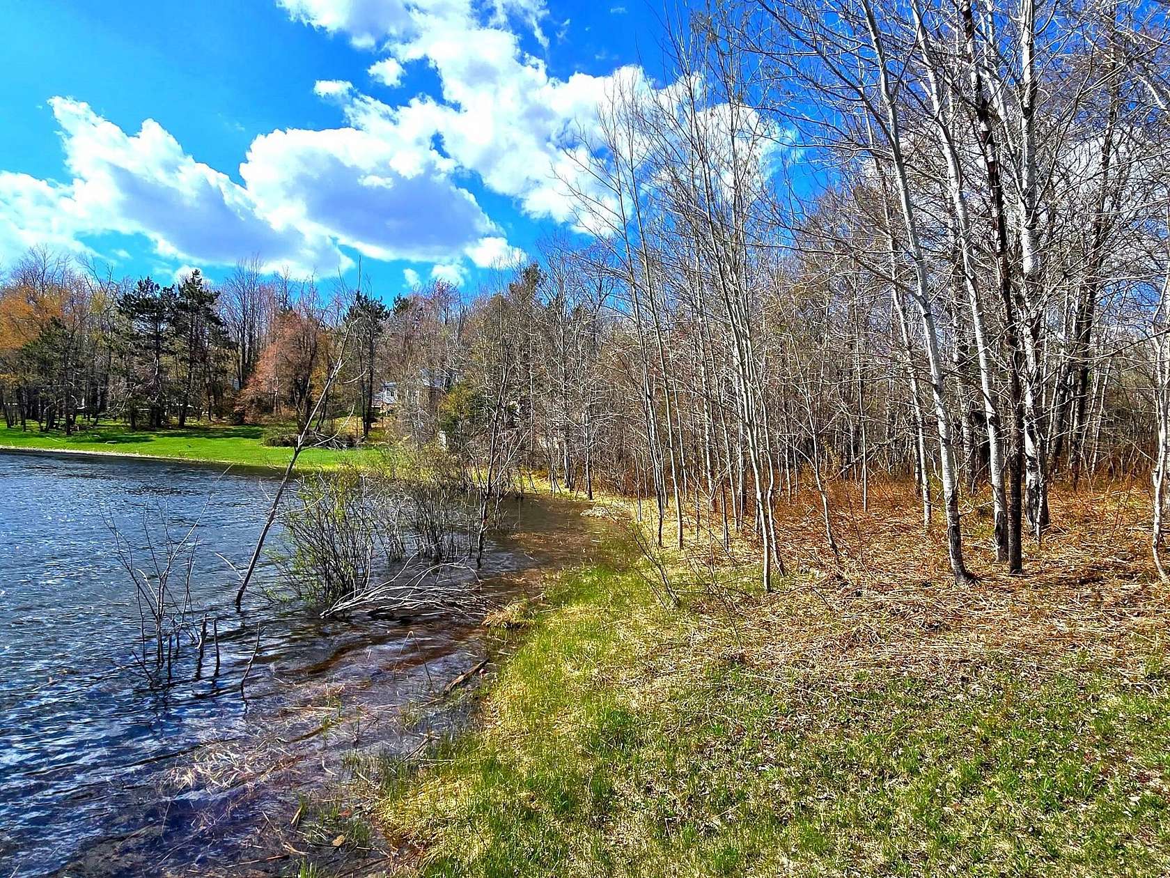Residential Land for Sale in Elmira, Michigan