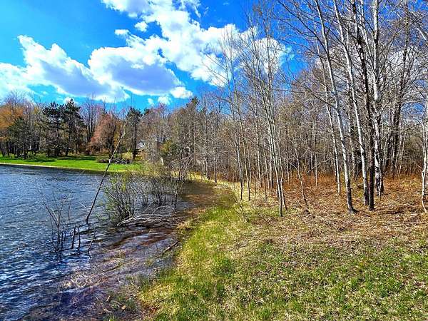 Residential Land for Sale in Elmira, Michigan