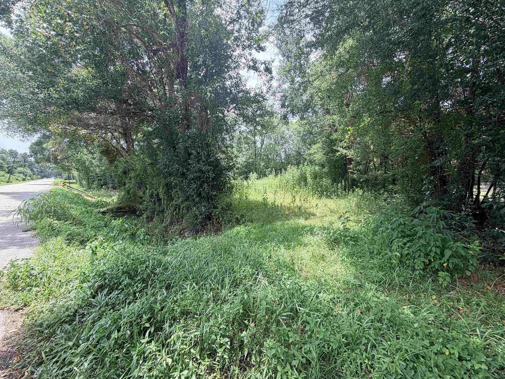0.33 Acres of Residential Land for Sale in Vidor, Texas