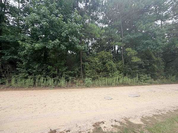 0.17 Acres of Residential Land for Sale in Woodville, Texas