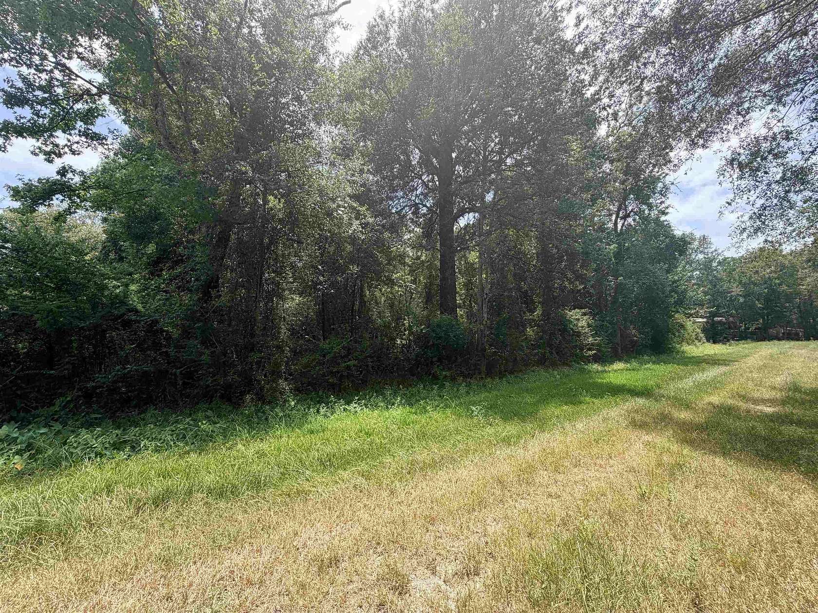 0.21 Acres of Residential Land for Sale in Vidor, Texas