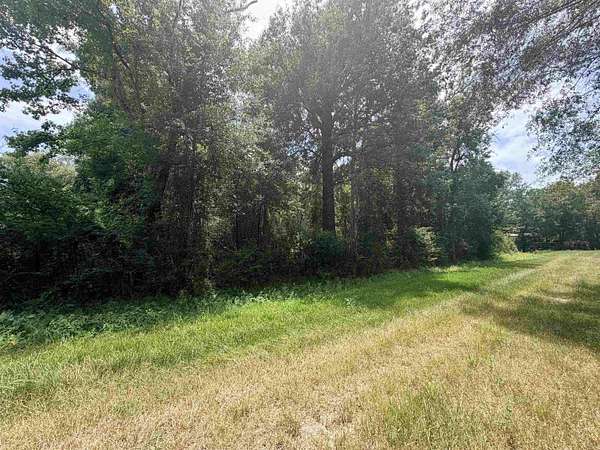 0.21 Acres of Residential Land for Sale in Vidor, Texas