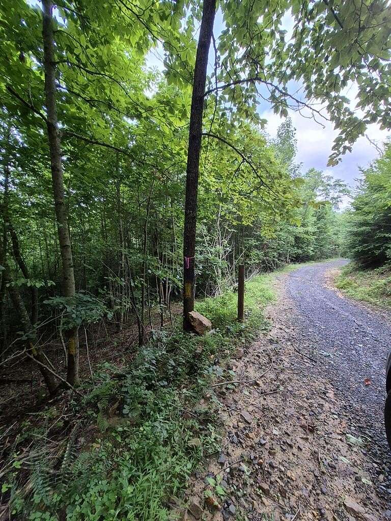 24.7 Acres of Recreational Land for Sale in Charmco, West Virginia