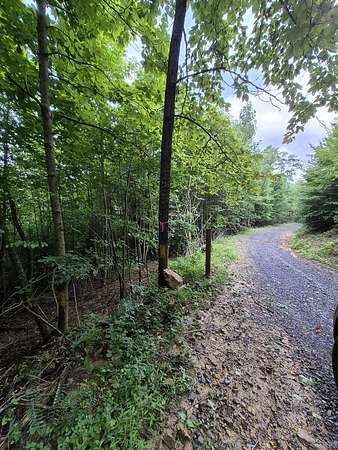 24.7 Acres of Recreational Land for Sale in Charmco, West Virginia