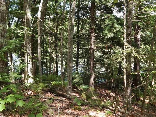0.82 Acres of Land for Sale in Alstead, New Hampshire