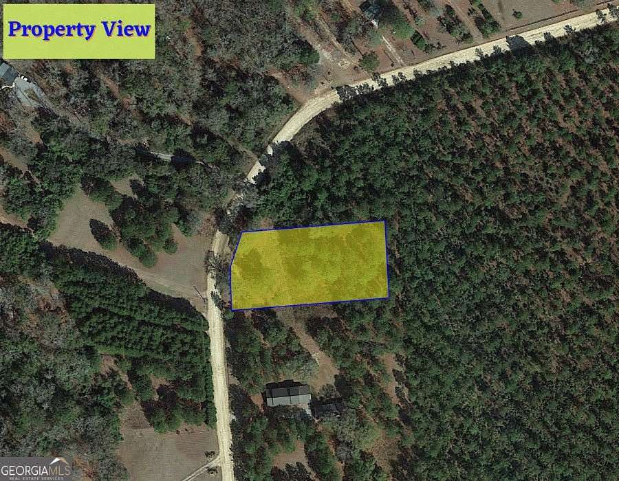 1 Acre of Land for Sale in Fort Gaines, Georgia