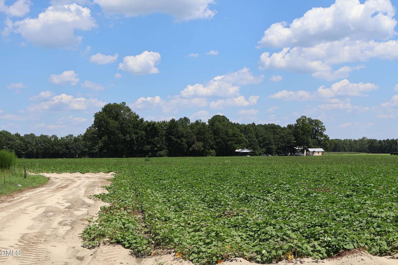 64.9 Acres of Land for Sale in Benson, North Carolina