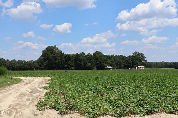 64.9 Acres of Land for Sale in Benson, North Carolina