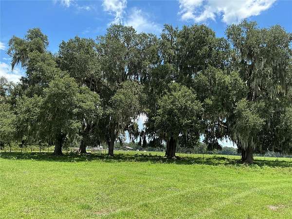 18.8 Acres of Land for Sale in Webster, Florida