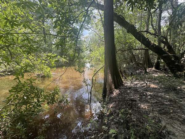 5 Acres of Residential Land for Sale in DeFuniak Springs, Florida