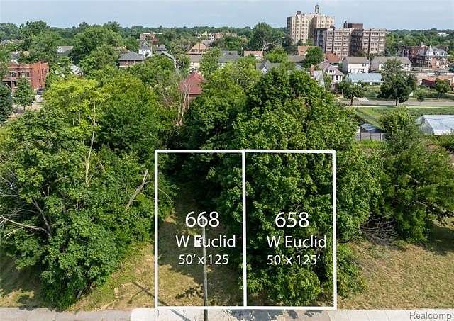 0.14 Acres of Residential Land for Sale in Detroit, Michigan