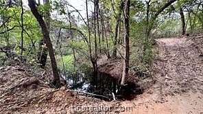 41.5 Acres of Land for Sale in Franklin, Texas