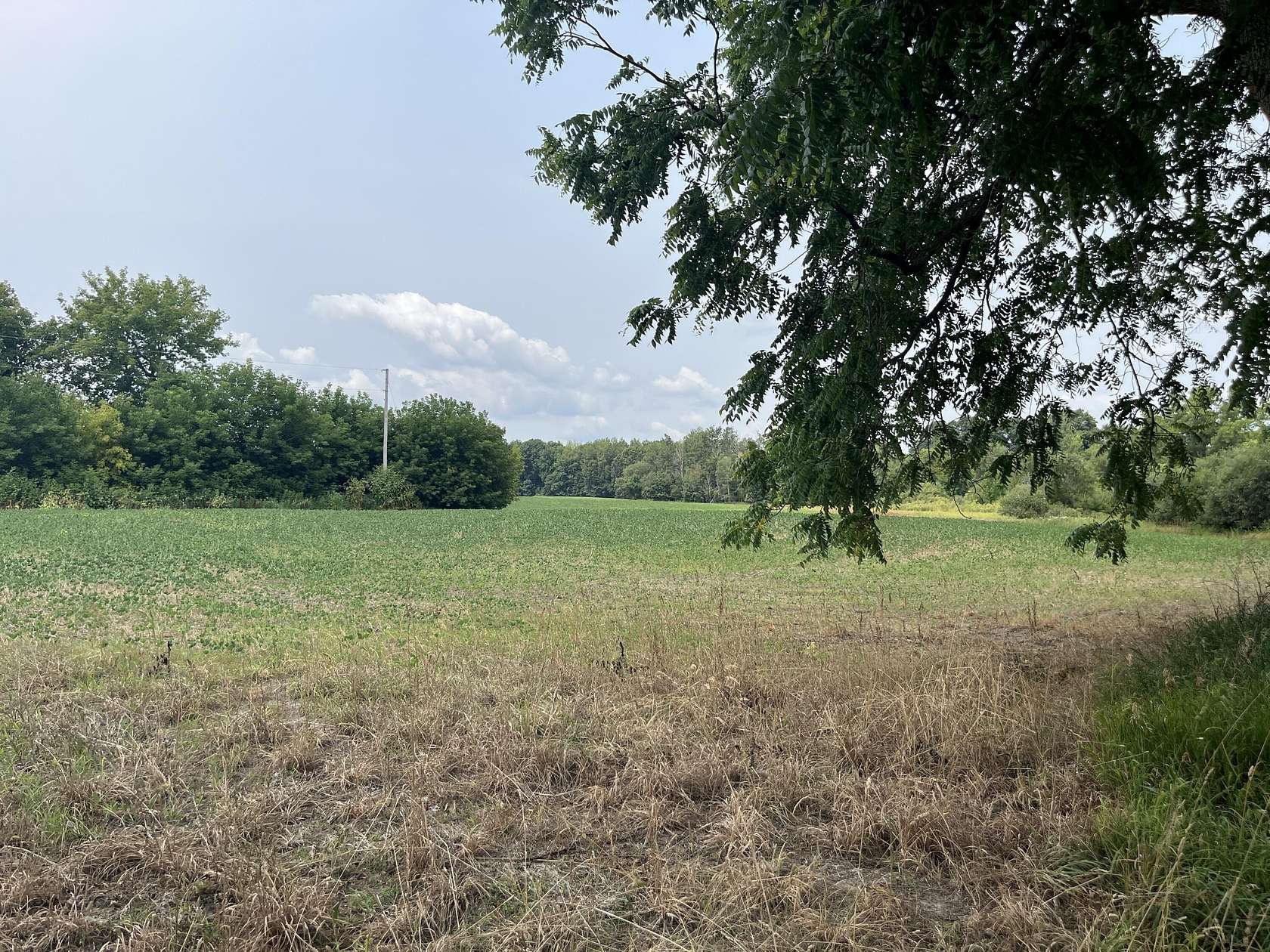 37.6 Acres of Land for Sale in Morley, Michigan