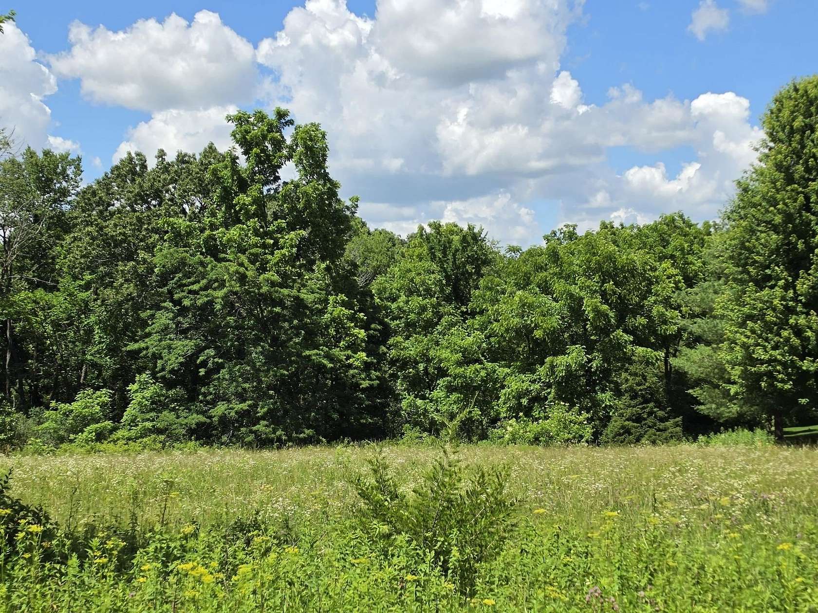 0.68 Acres of Residential Land for Sale in Galena, Illinois