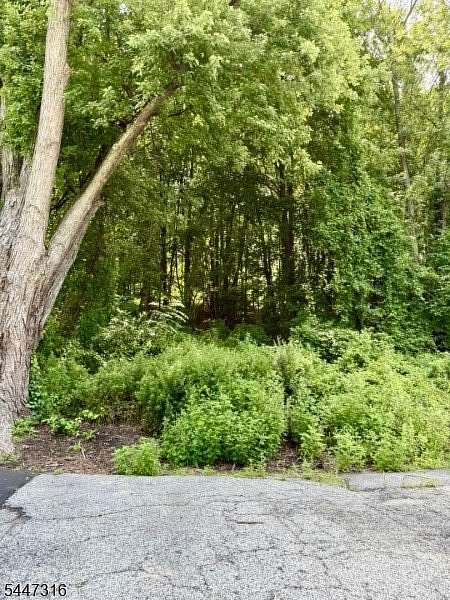 4 Acres of Residential Land for Sale in Hamburg, New Jersey