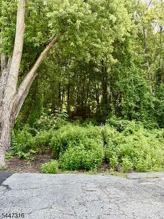 4 Acres of Residential Land for Sale in Hamburg, New Jersey