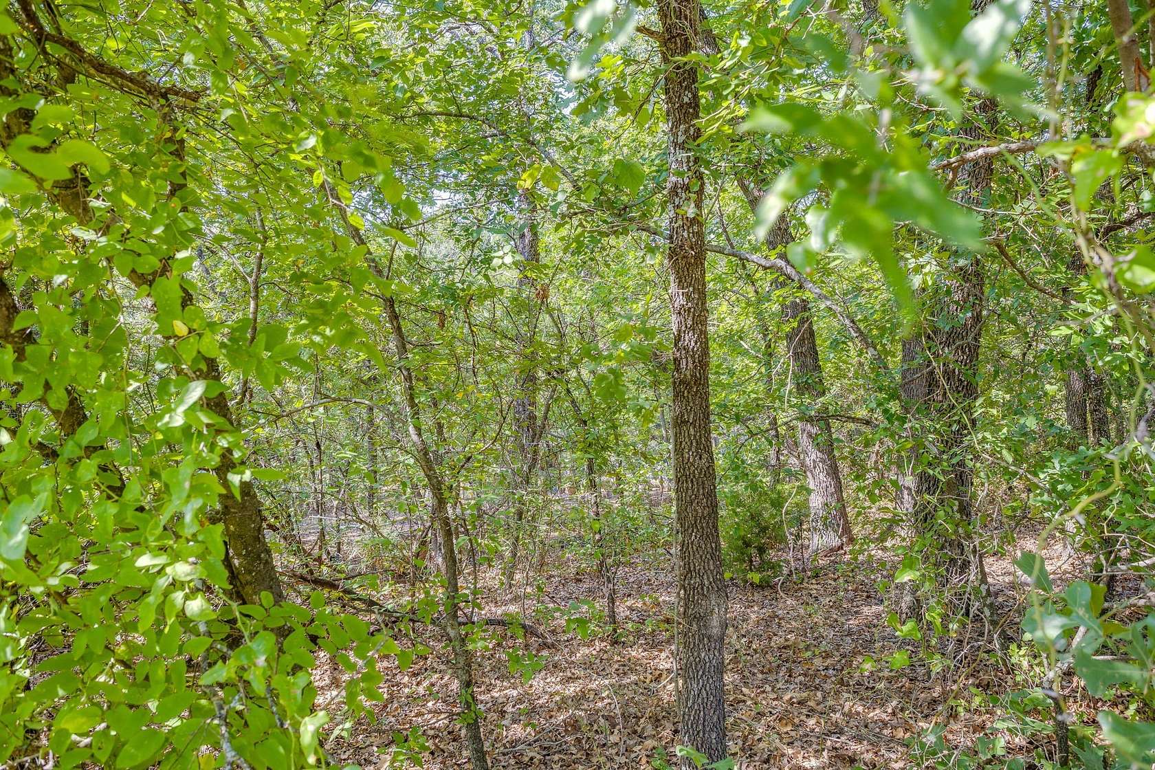 0.46 Acres of Residential Land for Sale in Burleson, Texas