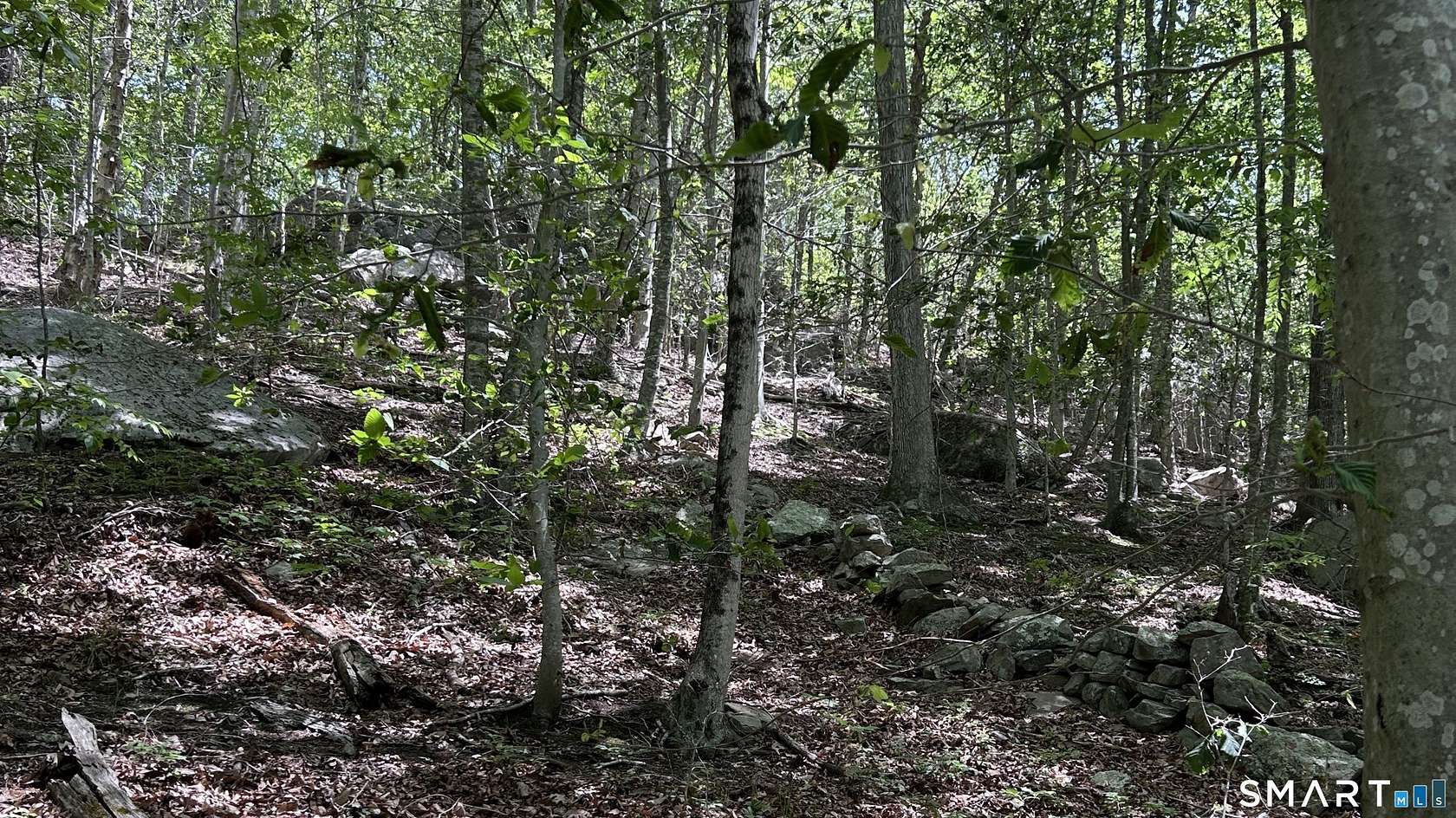 29.7 Acres of Land for Sale in East Haddam, Connecticut