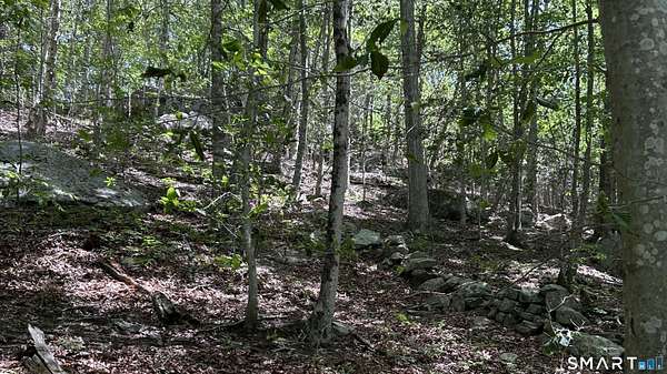 29.7 Acres of Land for Sale in East Haddam, Connecticut