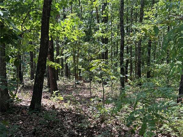 0.36 Acres of Residential Land for Sale in Bella Vista, Arkansas