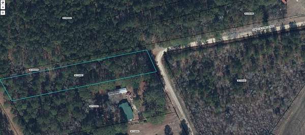 0.97 Acres of Residential Land for Sale in Olanta, South Carolina