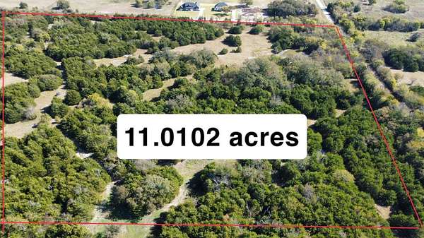 11 Acres of Land for Sale in Blue Ridge, Texas