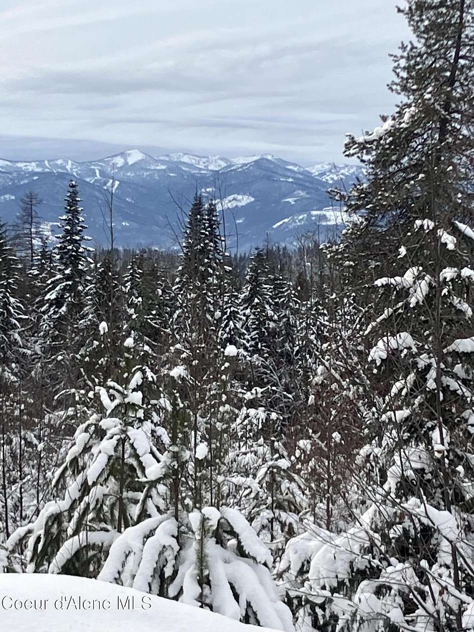 31.6 Acres of Land for Sale in Sandpoint, Idaho