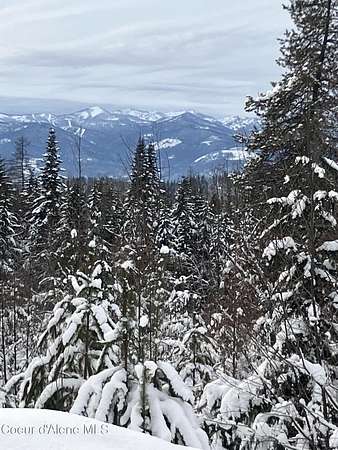 31.6 Acres of Land for Sale in Sandpoint, Idaho