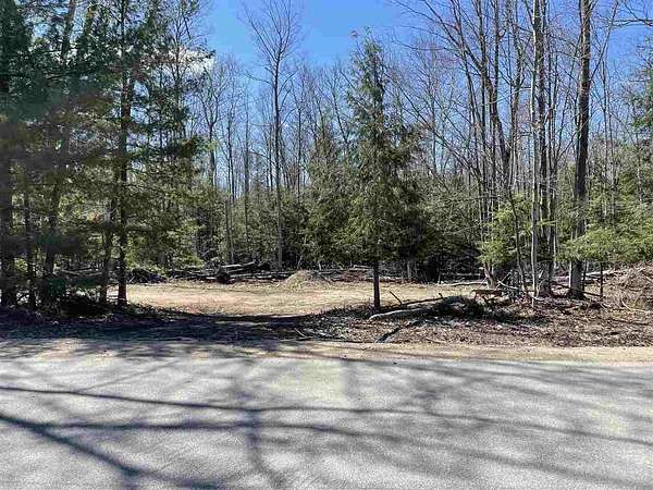 3 Acres of Land for Sale in Ellsworth, Michigan