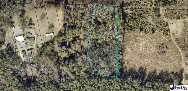 5.23 Acres of Residential Land for Sale in Society Hill, South Carolina
