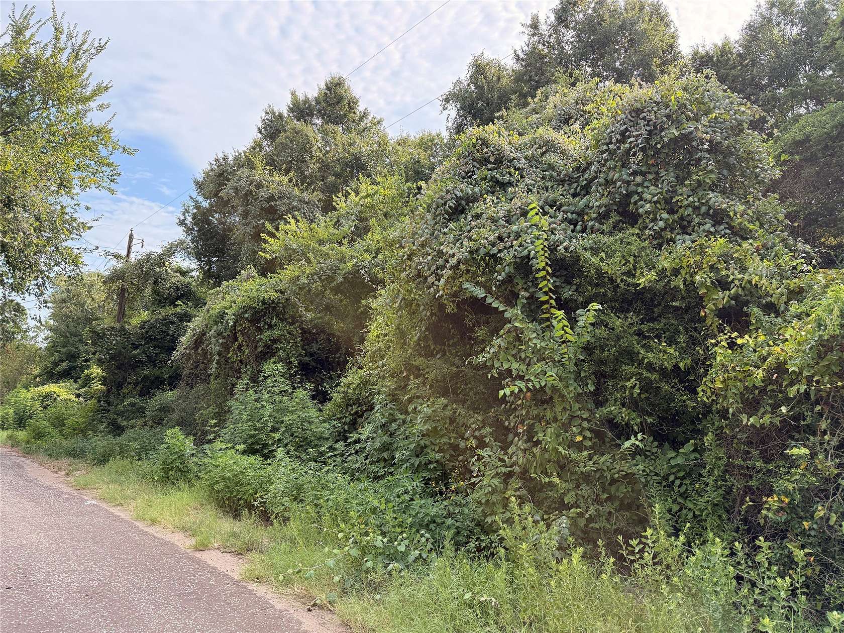 1.5 Acres of Residential Land for Sale in Fairfield, Texas