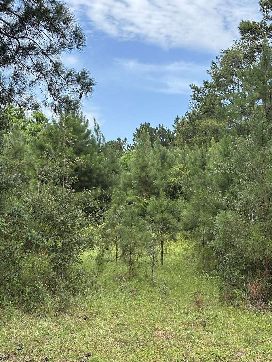 27 Acres of Land for Sale in Andalusia, Alabama