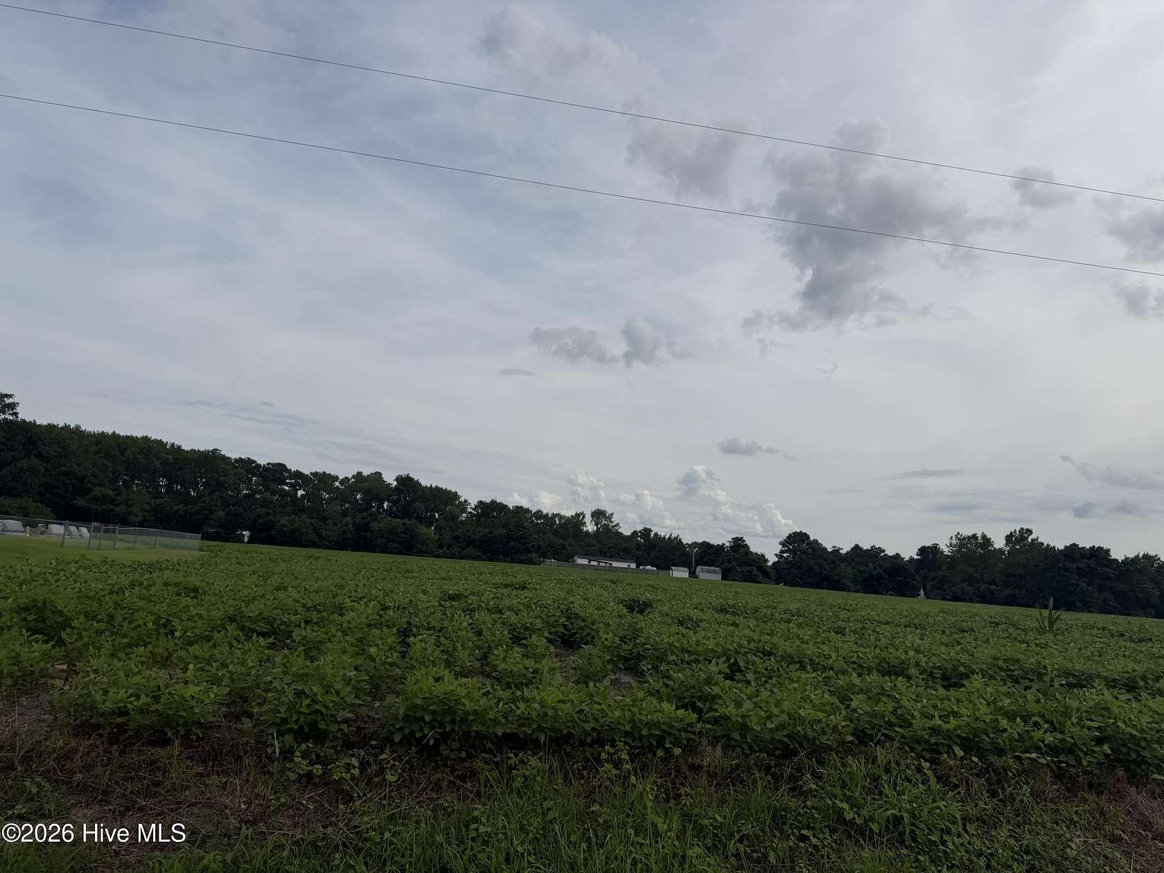 14 Acres of Land for Sale in Aydlett, North Carolina