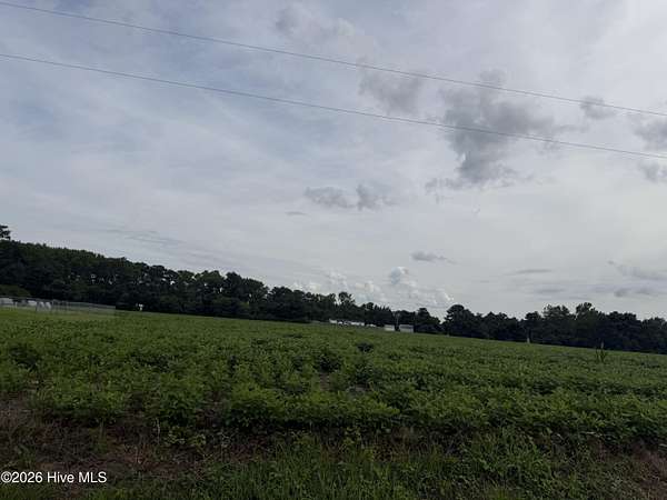 14 Acres of Land for Sale in Aydlett, North Carolina