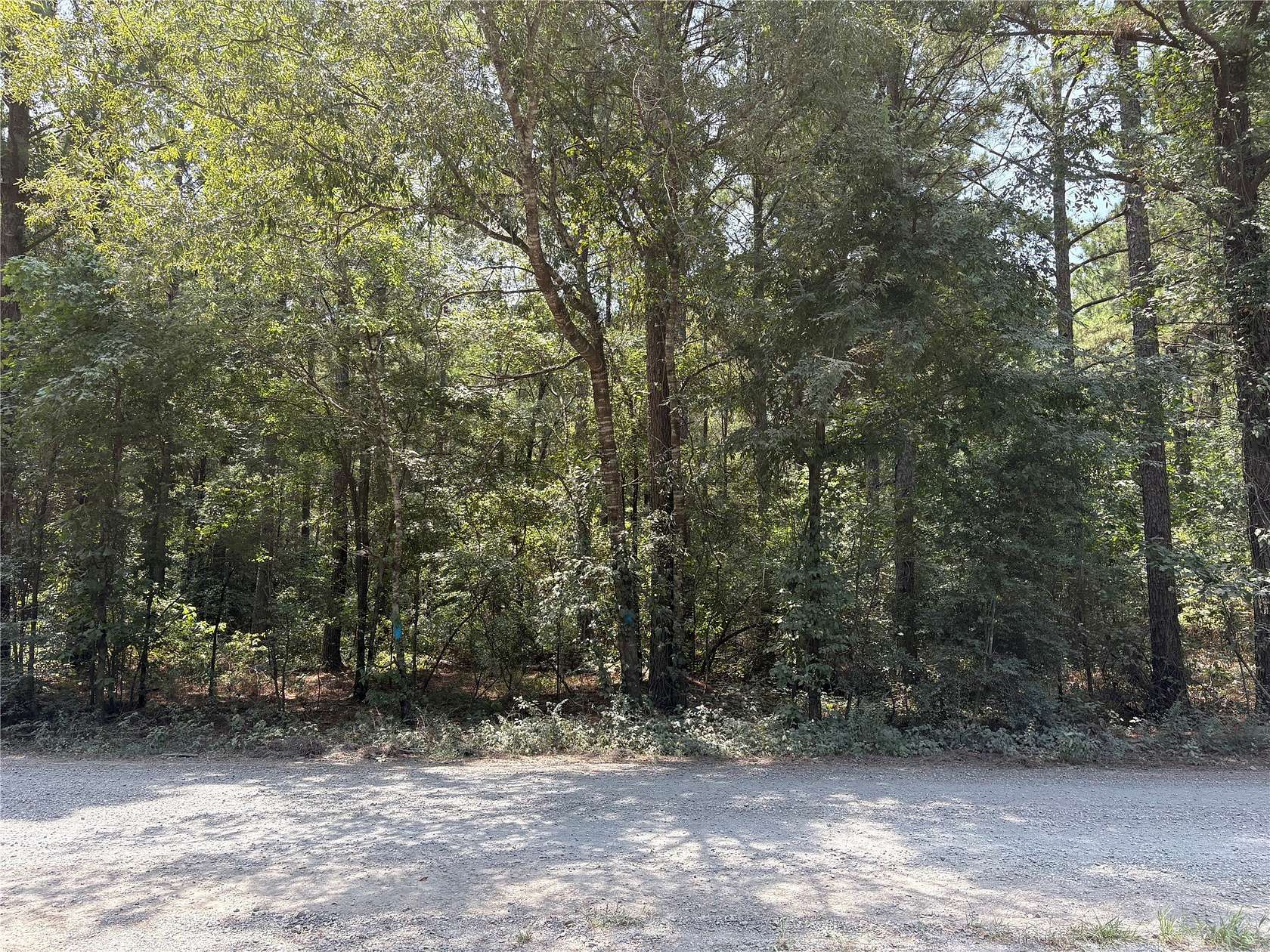 36.8 Acres of Recreational & Residential Land for Sale in Haughton, Louisiana
