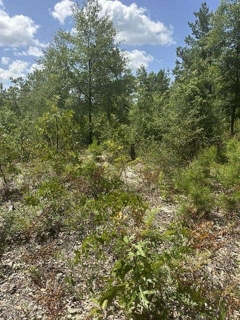 0.22 Acres of Residential Land for Sale in Mossy Head, Florida