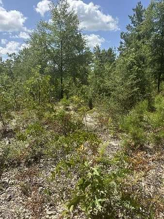 0.22 Acres of Residential Land for Sale in Mossy Head, Florida