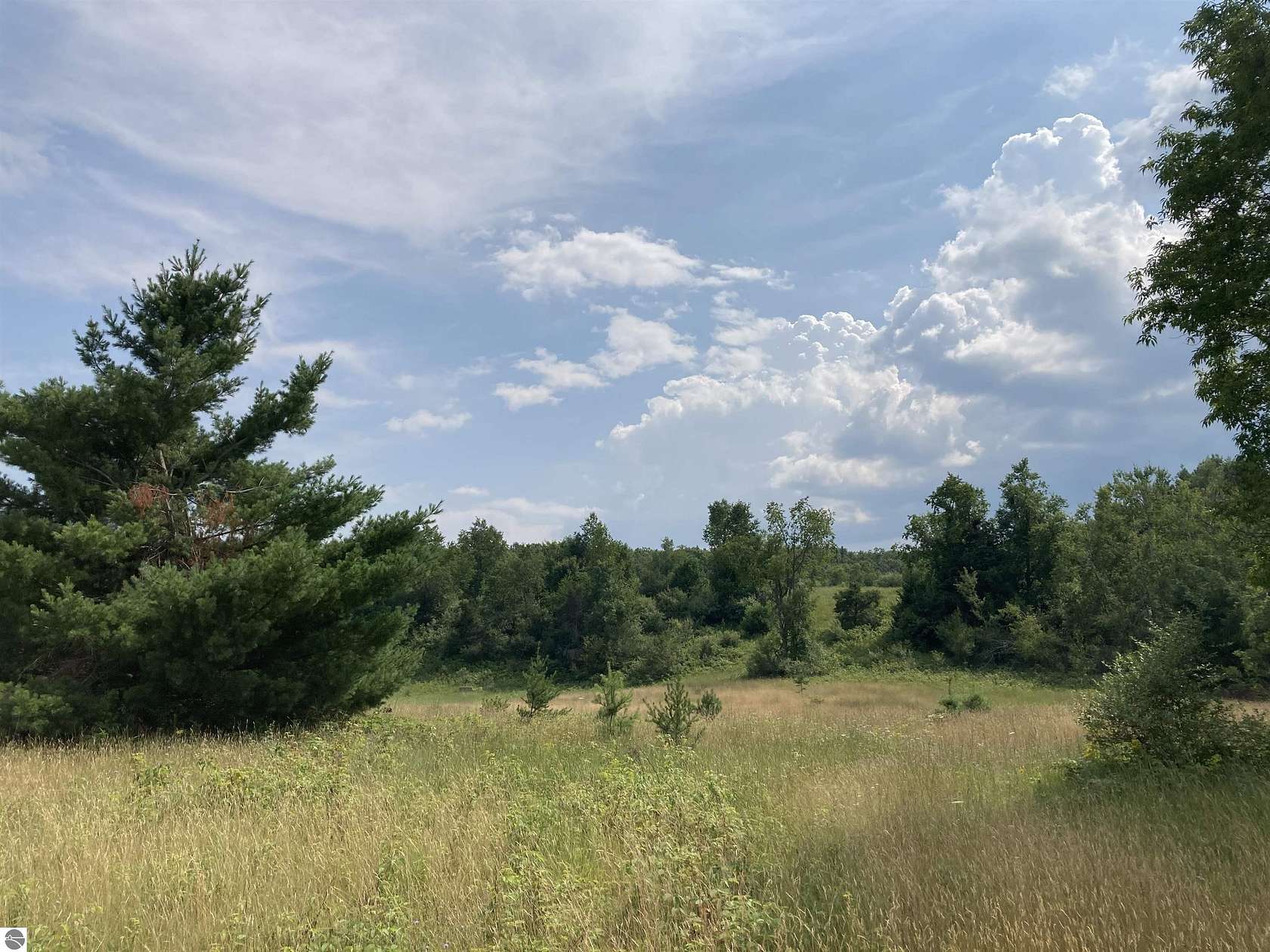 22 Acres of Recreational Land for Sale in Rose City, Michigan