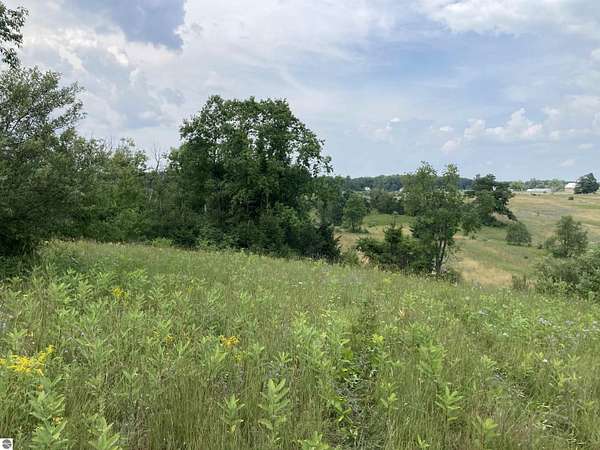 20 Acres of Recreational Land for Sale in Rose City, Michigan