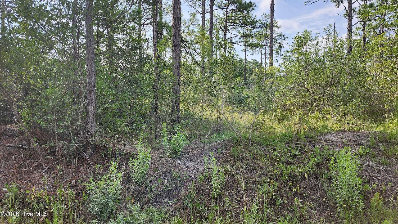 0.24 Acres of Residential Land for Sale in Southport, North Carolina
