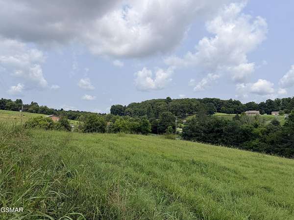 3.12 Acres of Improved Mixed-Use Land for Sale in Newport, Tennessee